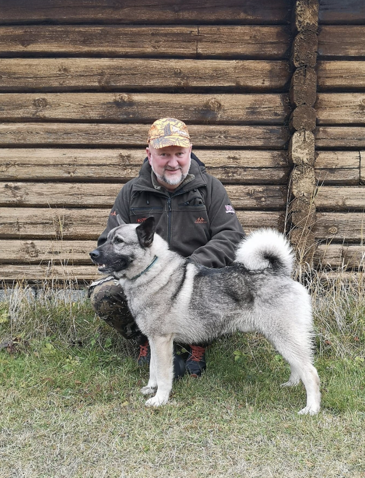 GRÅ ELGHUND PÅ TOPP: Til tross for at Per Erik Hjelle følte at det var litt stang ut gikk hans norsk elghund grå NJV-18 N J(L)CH N UCH Fermsa Mozart til 1. Premie på dag 1. GRÅ ELGHUND PÅ TOPP: Til tross for at Per Erik Hjelle følte at det var litt stang ut gikk hans norsk elghund grå NJV-18 N J(L)CH N UCH Fermsa Mozart til 1. Premie på dag 1.