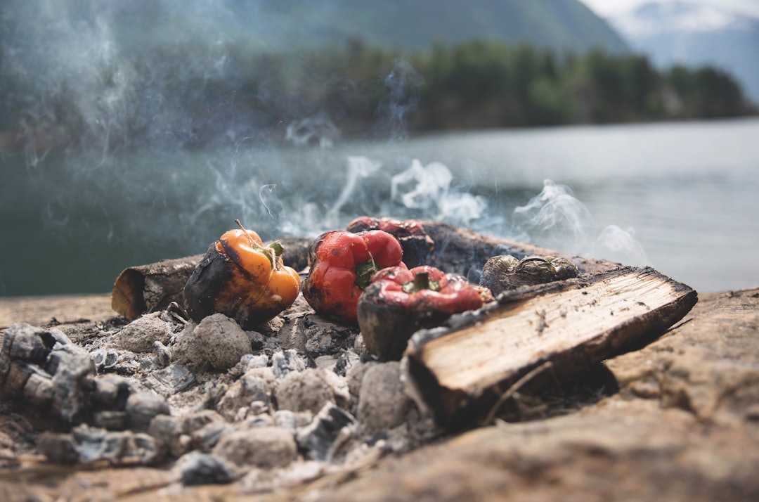 SAFTIGE SAKER: Paprika med ein ny vri. Verdt å prøve. Foto: Sigrid Henjum grillet paprika