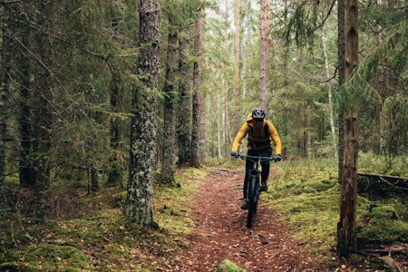 POPULÆRT: Østmarka er et populært område for terrengsykling - nå ytrer sykkeklubben IF Frøy bekymring for hva en fremtidig nasjonalpark og tilhørende vern kan gjøre med vilkårene deres for idrett.   Foto: Kristoffer H. Kippernes. nasjonalpark østmarka sykling