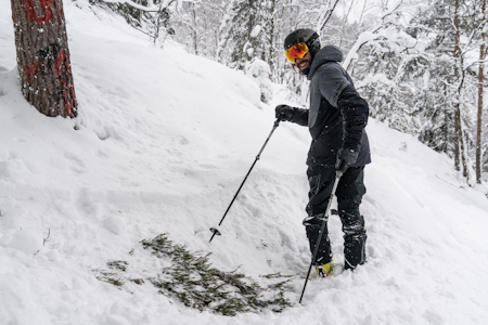 SE HER, JA! Stein, lyng og gress under vinterens første snøfall bør ikke komme som en overraskelse på noen. Foto: Christian Nerdrum SE HER, JA! Stein, lyng og gress under vinterens første snøfall bør ikke komme som en overraskelse på noen. Foto: Christian Nerdrum