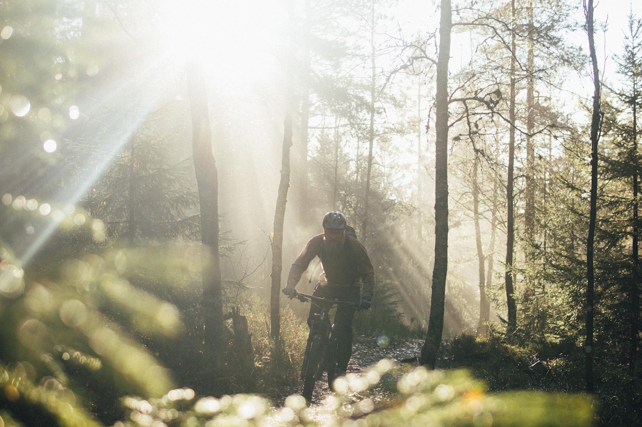 MAGISK MORGEN: Anders Gulbrandsen får sola i ryggen en oktoberdag i Lillomarka. Foto: Kristoffer H. Kippernes. stisykling høst lillomarka