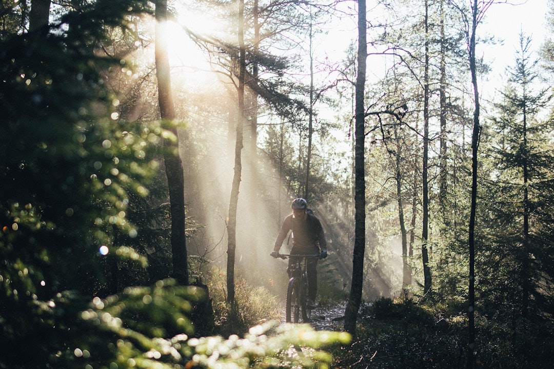 BRYTNINGSTID: Det er ennå mye bra sykling man kan gjøre mens man venter på barfrosten. Foto: Kristoffer H. Kippernes. stisykling lillomarka høst