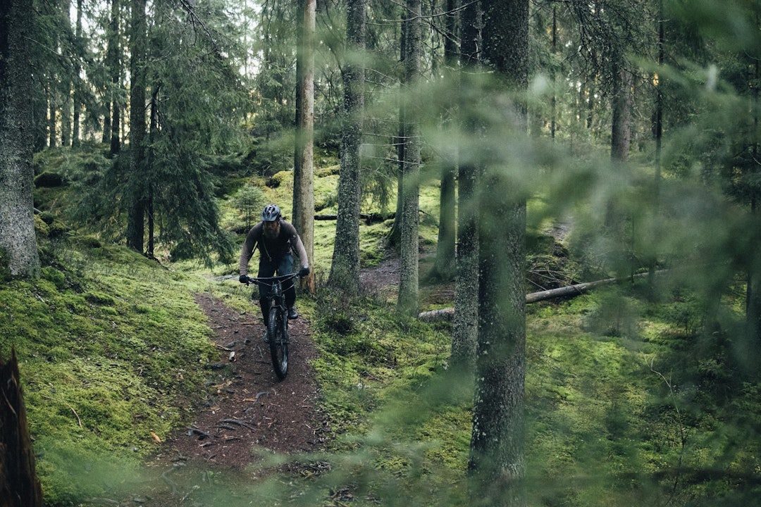 TYPISK: Anders Gulbrandsen på det som kan kalles veldig typisk Lillo-sti: myk skogsbrunn, og skikkelig frodig landskap. Foto: Kristoffer H. Kippernes. stisykling oslo lillomarka