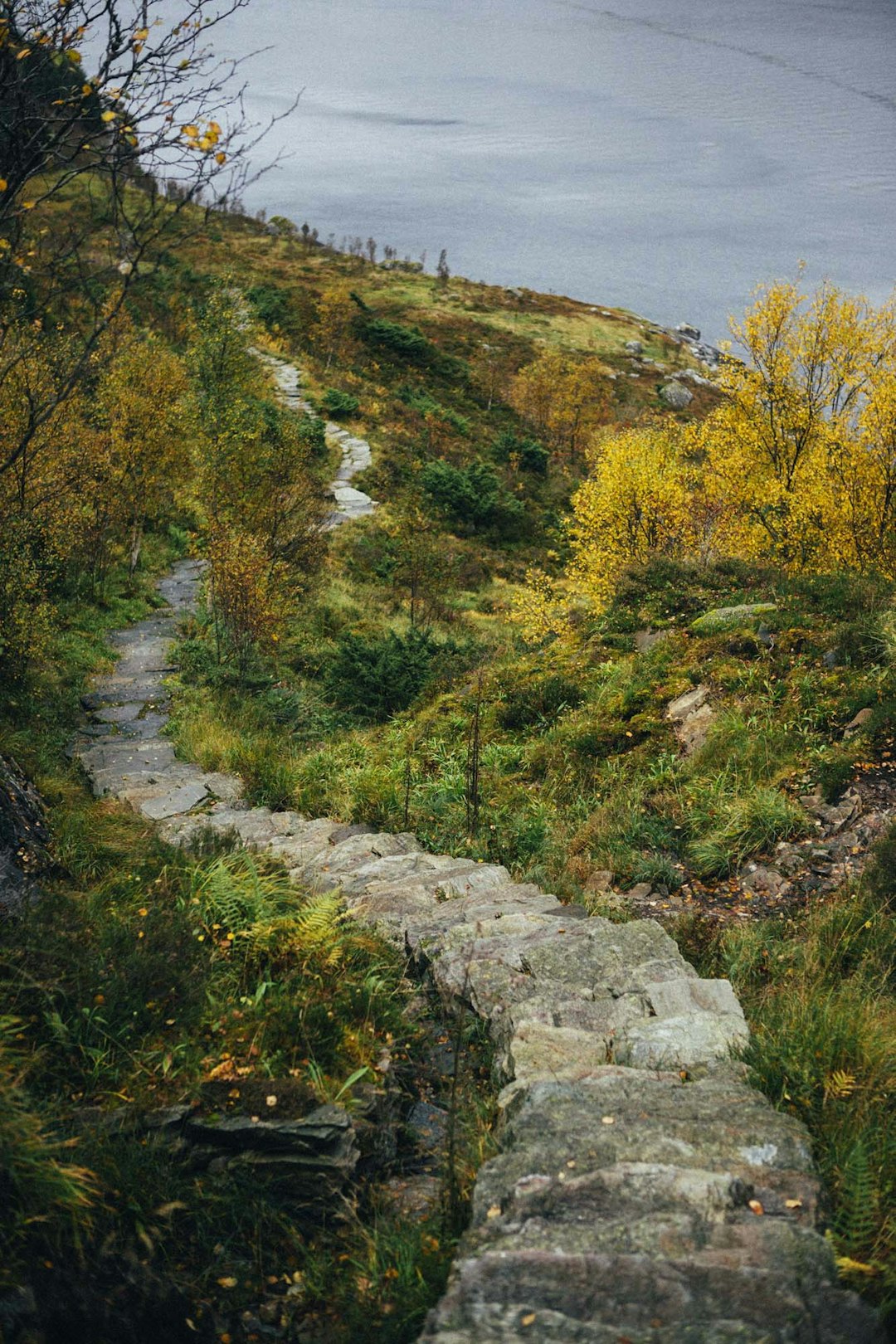 INNLEDNINGSVIS: En steinlagt trapp leder opp mot Hornelen for å styre trafikken og skåne vegetasjonen. Den skulle vært lenger, men det er et økonomisk anliggende. Foto: Kristoffer H. Kippernes sherpatrapp