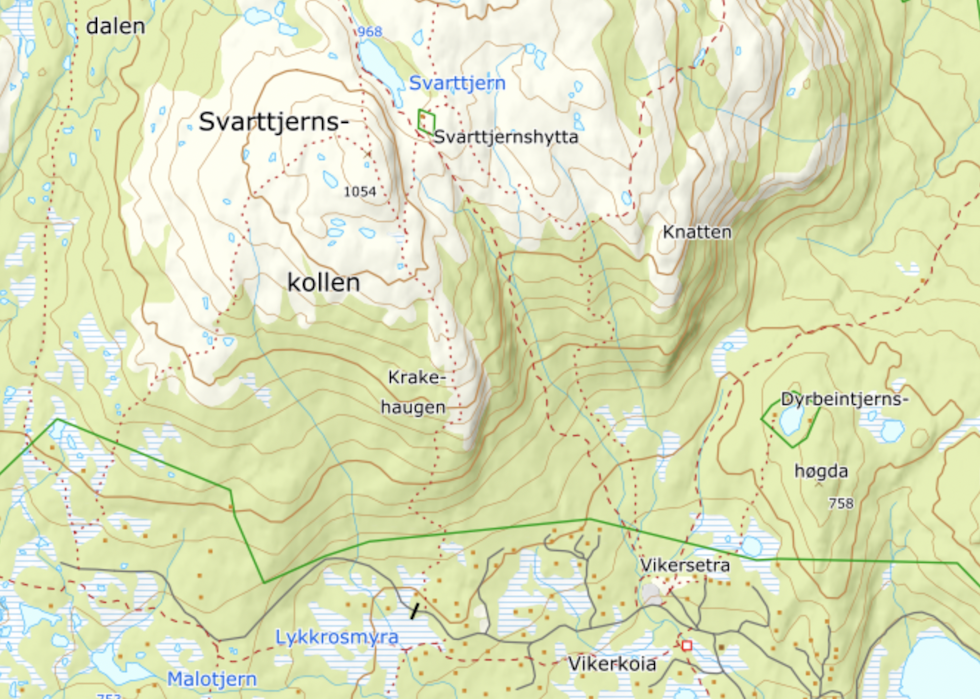 INNENFOR GRENSA: Hogsten hadde skjedd innenfor grensa til verneområdet – markert med grønn linje. INNENFOR GRENSA: Hogsten hadde skjedd innenfor grensa til verneområdet – markert med grønn linje.