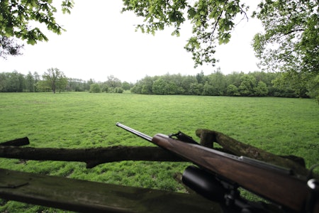 SIKKERT TREFF? Erfarne jegere tenker nøye gjennom hva som er som er forsvarlig riflehold. SIKKERT TREFF? Erfarne jegere tenker nøye gjennom hva som er som er forsvarlig riflehold.