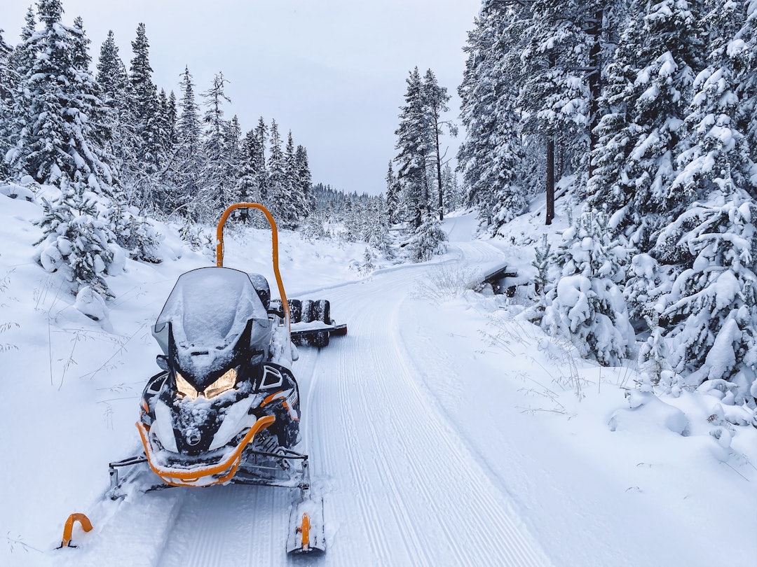 VINTERLAND: Nesfjellet forbereder langrennsløyper med omlag 2 mil med løyper fra alpinsenteret og innover i skog og snaufjell. Foto: Tom Erik Finnerud VINTERLAND: Nesfjellet forbereder langrennsløyper med omlag 2 mil med løyper fra alpinsenteret og innover i skog og snaufjell. Foto: Tom Erik Finnerud