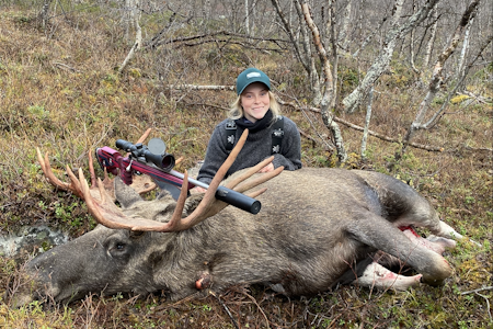 JAKTFEBER: Storoksen bydde på høy puls og en rå jaktopplevelse. (Foto: Susanne Utse Olsen) JAKTFEBER: Storoksen bydde på høy puls og en rå jaktopplevelse. (Foto: Susanne Utse Olsen)
