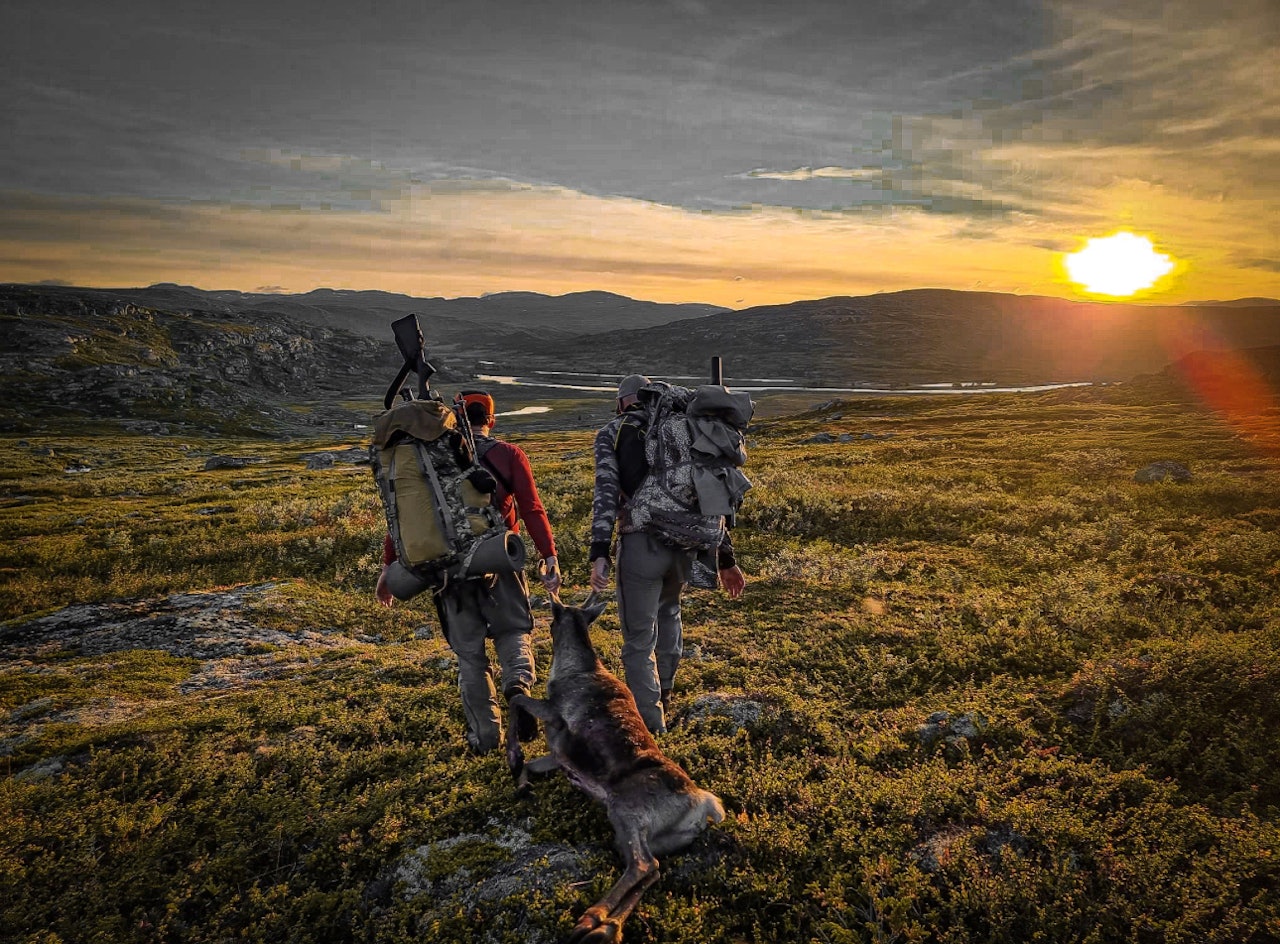 SÅRBART: Villreinen på Hardangervidda er svært utsatt. Nå fortviler jegere over at et stort antall reinsbukker skal skytes ned for å stanse mulig smitte av skrantesyke. Foto: Ann Kristin Bakkane. SÅRBART: Villreinen på Hardangervidda er svært utsatt. Nå fortviler jegere over at et stort antall reinsbukker skal skytes ned for å stanse mulig smitte av skrantesyke. Foto: Ann Kristin Bakkane.