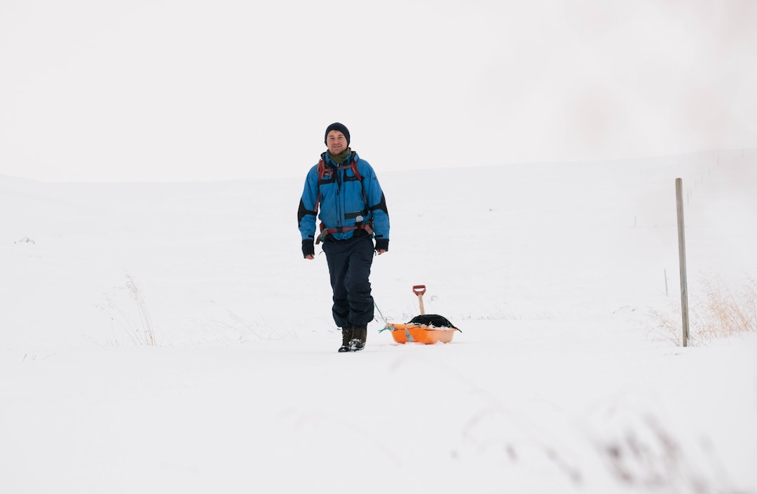 KLARGJØRING: Stijn på vei innover fjellet for å spenne opp en av revefellene. KLARGJØRING: Stijn på vei innover fjellet for å spenne opp en av revefellene.