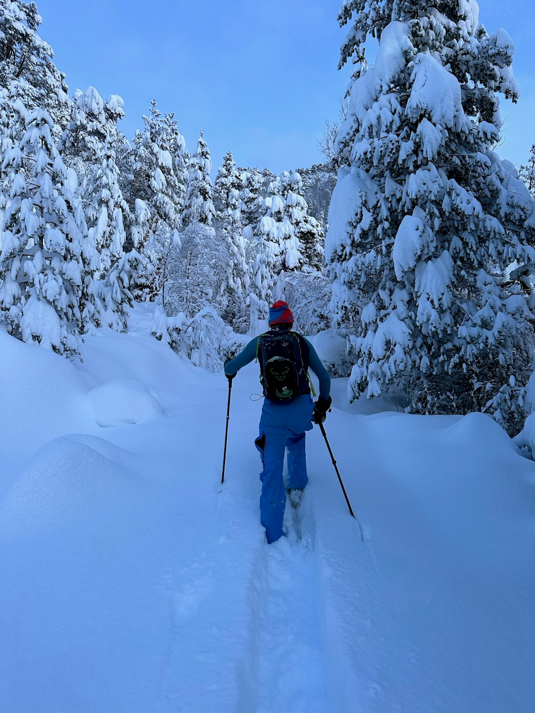 Ola på vei opp i skogen. Foto: Janita Nonstad Ola på vei opp i skogen. Foto: Janita Nonstad