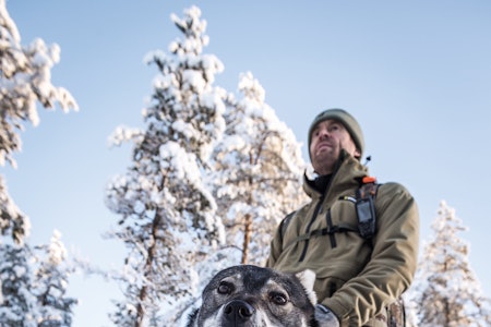 Vanlig: Flere tusen hunder behandles årlig for nesemidd. Vanlig: Flere tusen hunder behandles årlig for nesemidd.
