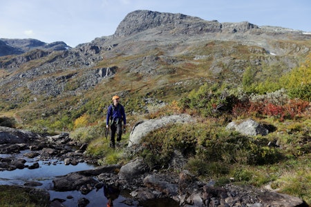 Våtmarksjakt: Fra 15. februar 2023 er det forbudt å bruke blyhagl ved jakt i våtmark. Men hva regnes som «våtmark»? Kan du fortsatt bruke bly i høyfjells-jakta? Våtmarksjakt: Fra 15. februar 2023 er det forbudt å bruke blyhagl ved jakt i våtmark. Men hva regnes som «våtmark»? Kan du fortsatt bruke bly i høyfjells-jakta?