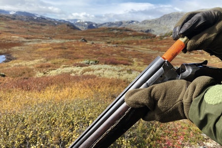 MÅ FINNE ALTERNATIVER: Nå må rypejegere finne seg i å bruke alternativ ammunisjon. (Ill. foto: Håvard Holdø) blyhagl hagle jeger