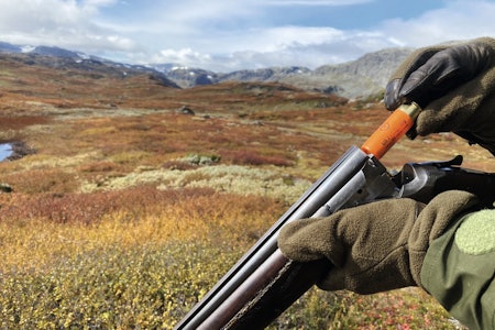 BLYHAGL: En jeger fikk bot på 8.000 kroner etter kontroll i september. Illustrasjonsfoto: Håvard H. Holdø hagle som blir ladet på fjellet