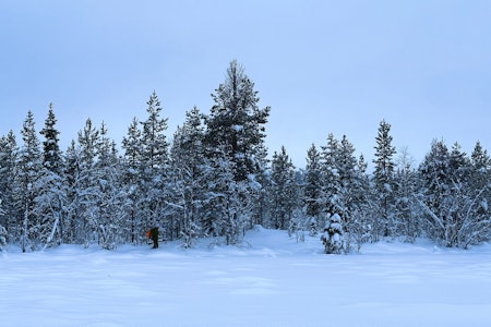 ADVENTSJAKT: Selv om dagene er korte kan desember by på fine jaktmuligheter.