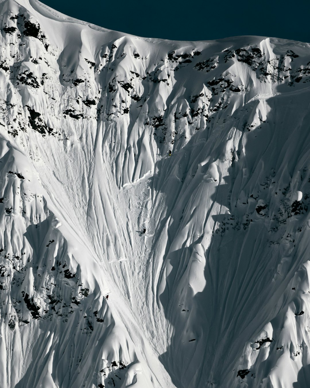 Foto: Anders Vestergaard Foto: Anders Vestergaard