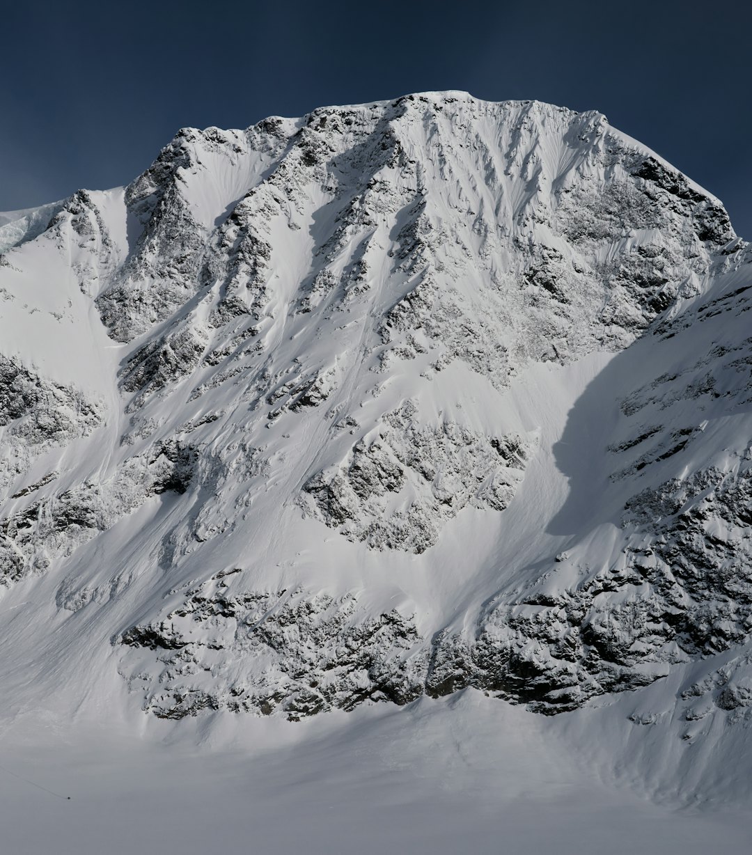 Foto: Anders Vestergaard Foto: Anders Vestergaard