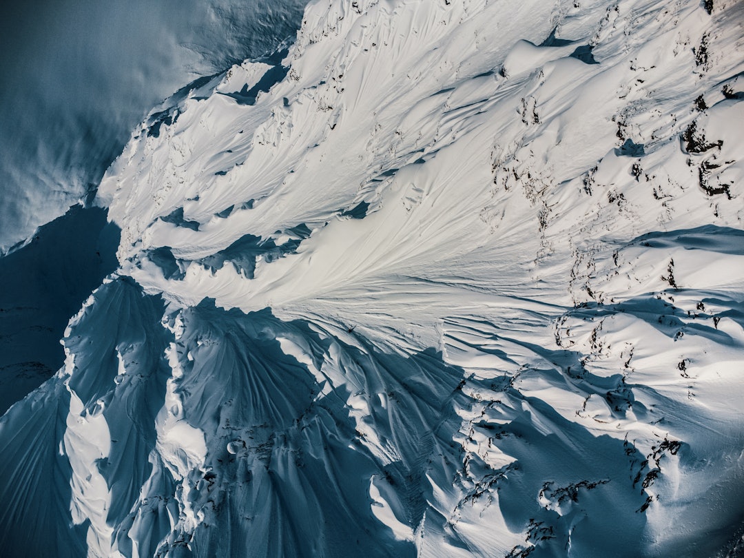 Foto: Sofia Wester Sjöberg Foto: Sofia Wester Sjöberg