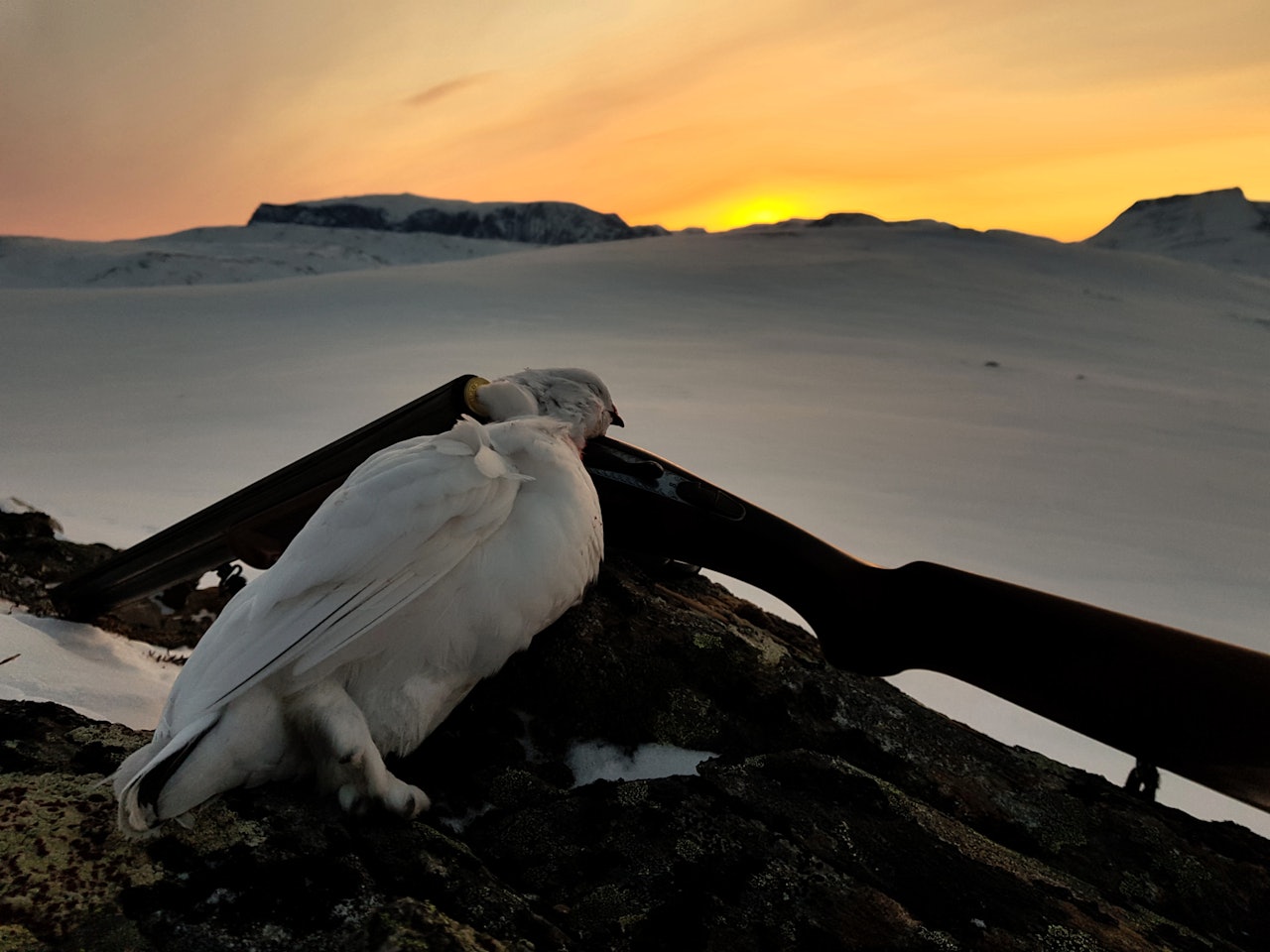 Lad opp: Under romjulsfredningen kan man bruke litt tid på se tilbake på høsten som har vært- etter nyttår kommer nye muligheter. Lad opp: Under romjulsfredningen kan man bruke litt tid på se tilbake på høsten som har vært- etter nyttår kommer nye muligheter.