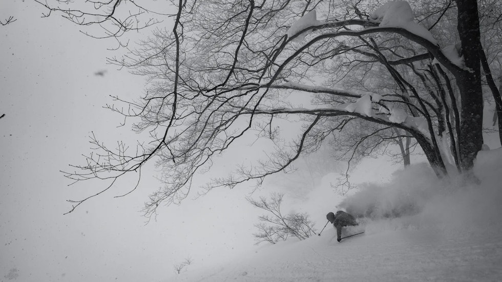 JAPOW: Kanadiske Chad Sayers har fått noen doser med japansk puddersnø gjennom sin karriere som proff skikjører. Foto: Mattias Fredriksson