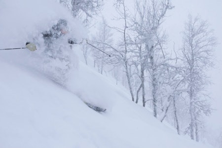 HURRA: Usedvanlig gode snøforhold Hemsedal i disse dager. Foto: Kalle Hägglund HURRA: Usedvanlig gode snøforhold Hemsedal i disse dager. Foto: Kalle Hägglund
