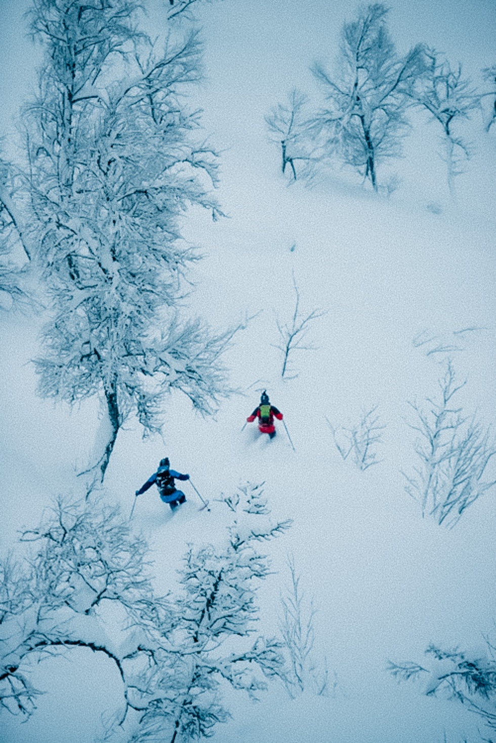 BREDDEN: – Skal vi ikke svinge noe i dag? Vi må vel svinge litt. Og bredde mellom bena da, da? Tenker du noe på det? spør Finseth skikollega Trygg Lindkjølen. Foto: Martin I Dalen BREDDEN: – Skal vi ikke svinge noe i dag? Vi må vel svinge litt. Og bredde mellom bena da, da? Tenker du noe på det? spør Finseth skikollega Trygg Lindkjølen. Foto: Martin I Dalen