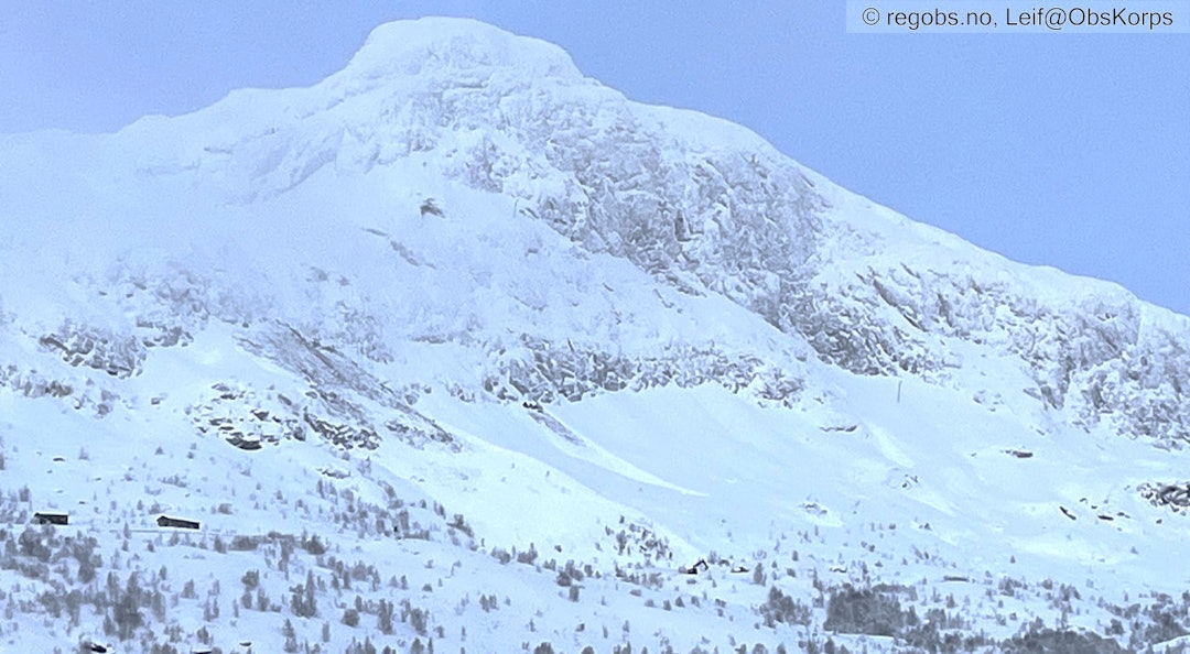 JOTUNHEIMEN: Et snøskred løsnet i et vedvarende svakt lag ved bakken i Jotunheimen onsdag. Dette svake laget vil fortsatt være et problem i helgen. Foto: Leif@ObsKorps JOTUNHEIMEN: Et snøskred løsnet i et vedvarende svakt lag ved bakken i Jotunheimen onsdag. Dette svake laget vil fortsatt være et problem i helgen. Foto: Leif@ObsKorps