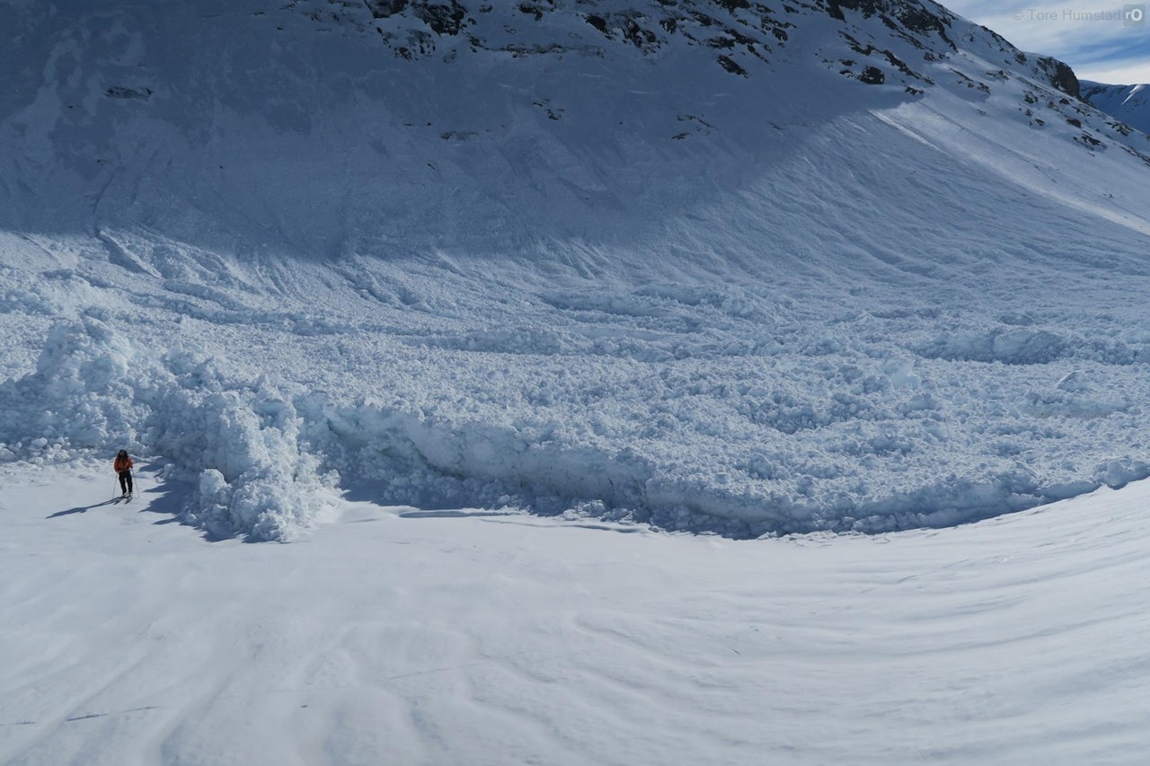 TUNGE OG STORE: NVE forventer store våtskred over hele Sør-Norge de kommende dagene. Foto: Tore Humstad TUNGE OG STORE: NVE forventer store våtskred over hele Sør-Norge de kommende dagene. Foto: Tore Humstad