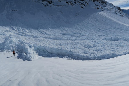 TUNGE OG STORE: NVE forventer store våtskred over hele Sør-Norge de kommende dagene. Foto: Tore Humstad TUNGE OG STORE: NVE forventer store våtskred over hele Sør-Norge de kommende dagene. Foto: Tore Humstad