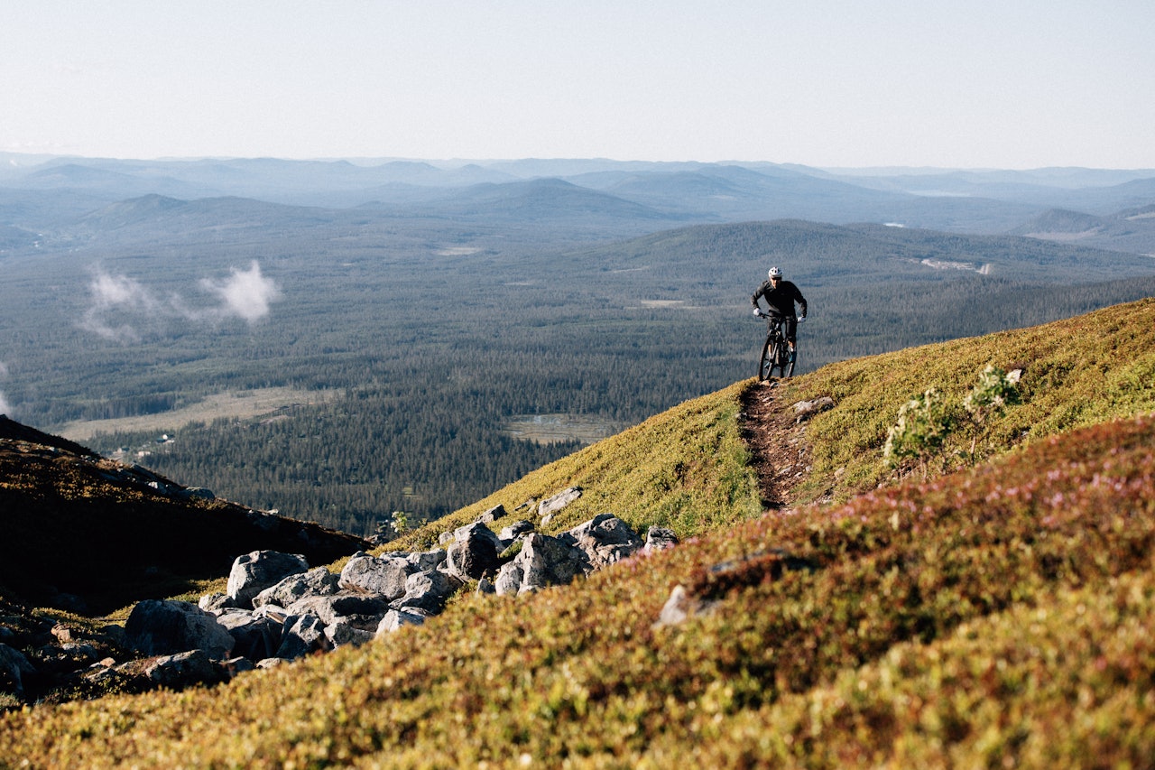 Foto: Sjur Melsaas Foto: Sjur Melsaas
