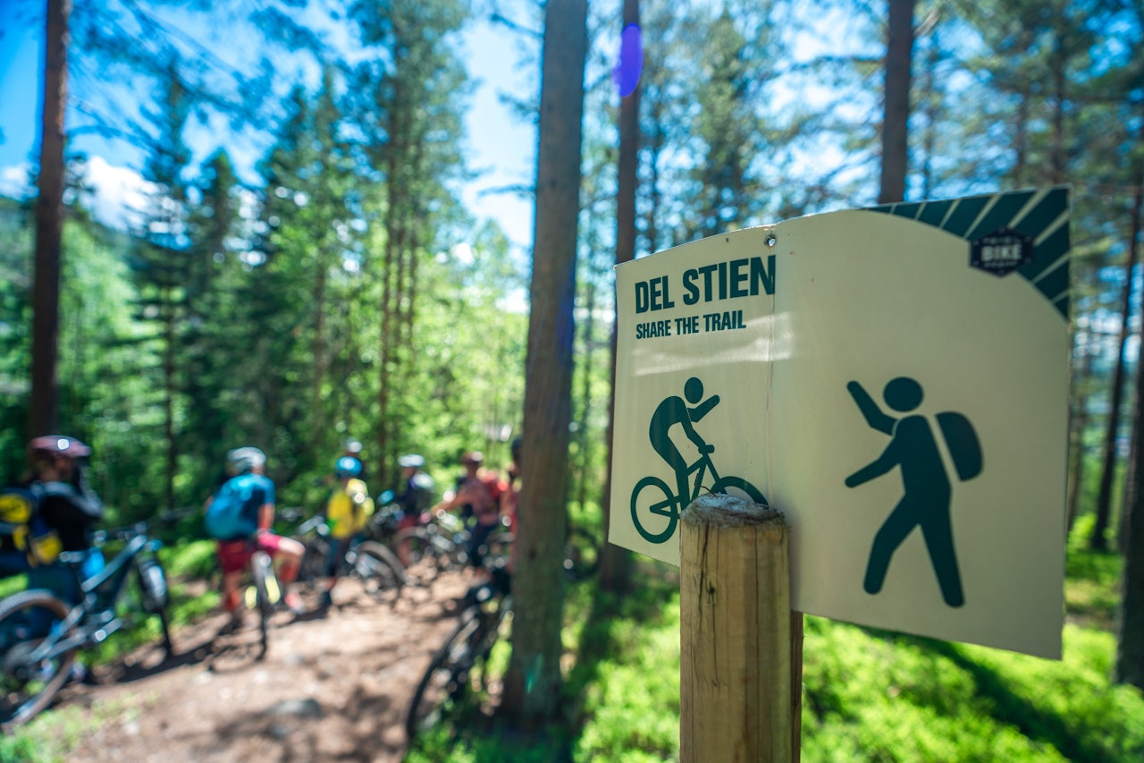 Skogen i Trysil byr på uendelig med sti og flyt! Foto: Even Baardseth Skogen i Trysil byr på uendelig med sti og flyt! Foto: Even Baardseth