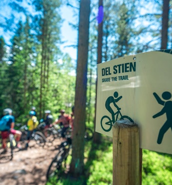 Skogen i Trysil byr på uendelig med sti og flyt! Foto: Even Baardseth Skogen i Trysil byr på uendelig med sti og flyt! Foto: Even Baardseth