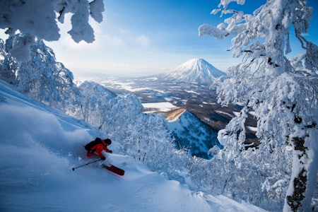 DRØMMEN: Moa Wärvik finner den japanska drømmen i Rusutsu. Foto: Mattias Fredriksson DRØMMEN: Moa Wärvik finner den japanska drømmen i Rusutsu. Foto: Mattias Fredriksson