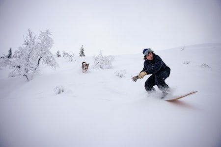 PUDDERHUNDER: Pontus Lüttkens kommer surfende med bikkja hakk i hel. Foto: Christian Nerdrum PUDDERHUNDER: Pontus Lüttkens kommer surfende med bikkja hakk i hel. Foto: Christian Nerdrum