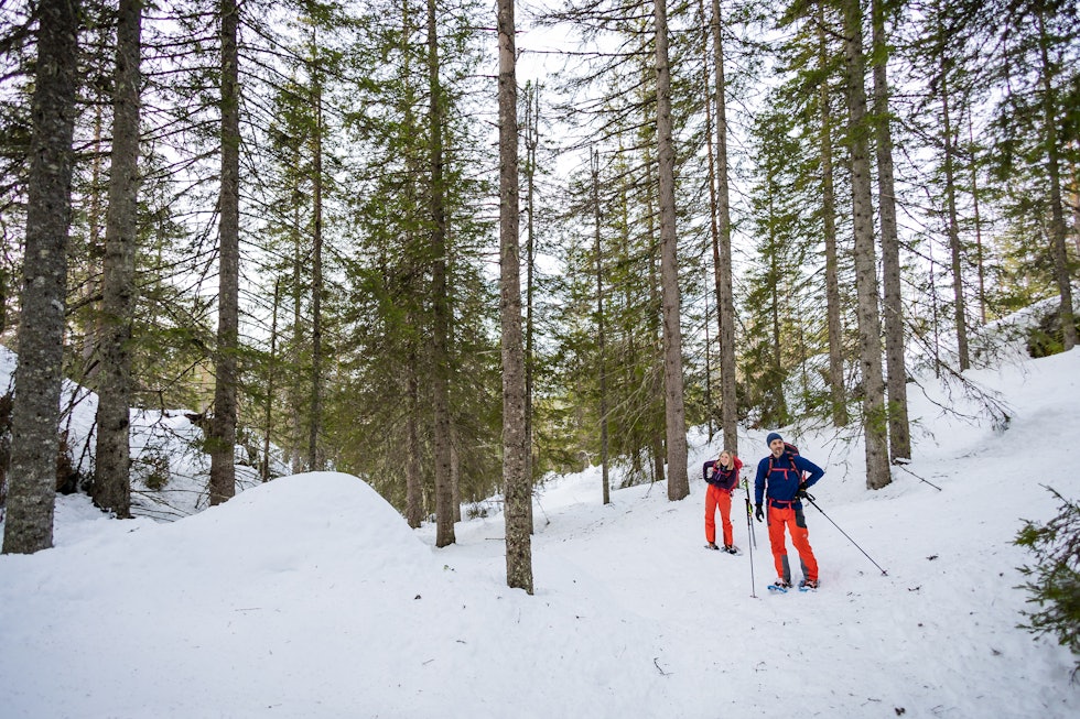 Olsen og Marte nyter en teknisk stopp i den åpne skogen. Foto: Thomas Horgen
