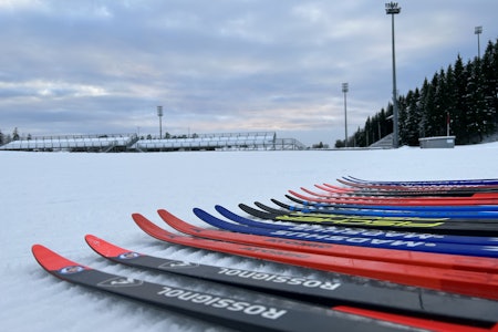SESONGVARE: Vi har testet et knippe skøyteski med mål om fine turer i skiløypa. Foto: Gunhild Aaslie Soldal test skøyteski