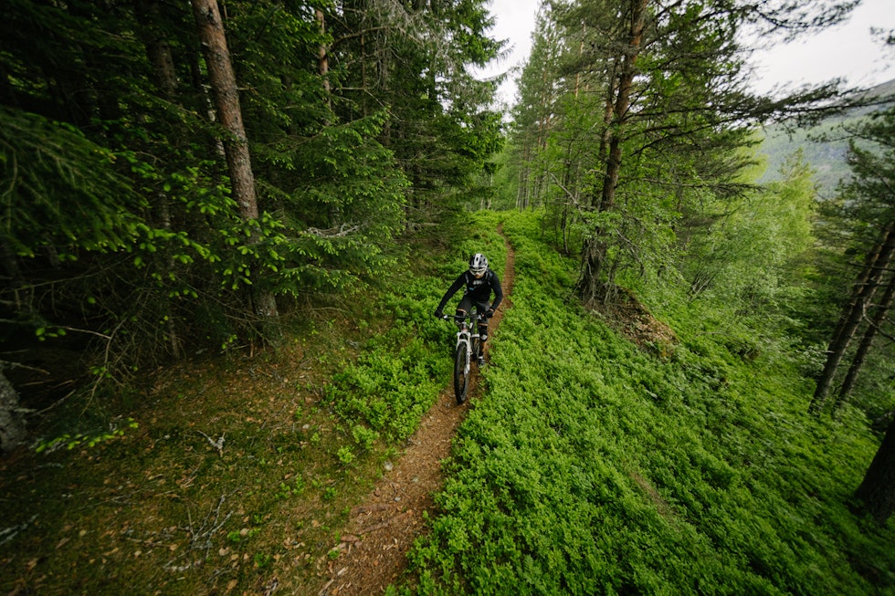 Det er fantastisk bra stier i Stryn skisenter! Her fra shuttleturen i 2022. Foto: Brynjar Tvedt Det er fantastisk bra stier i Stryn skisenter! Her fra shuttleturen i 2022. Foto: Brynjar Tvedt