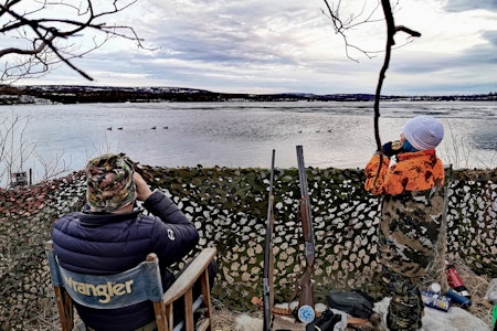 Opplæring: Lodden er en viktig tradisjon i Kautokeino, som har blitt videreført gjennom generasjoner. (Foto: FotoProffen/Johan Mathis Gaup) andejakt lodden Kautokeino