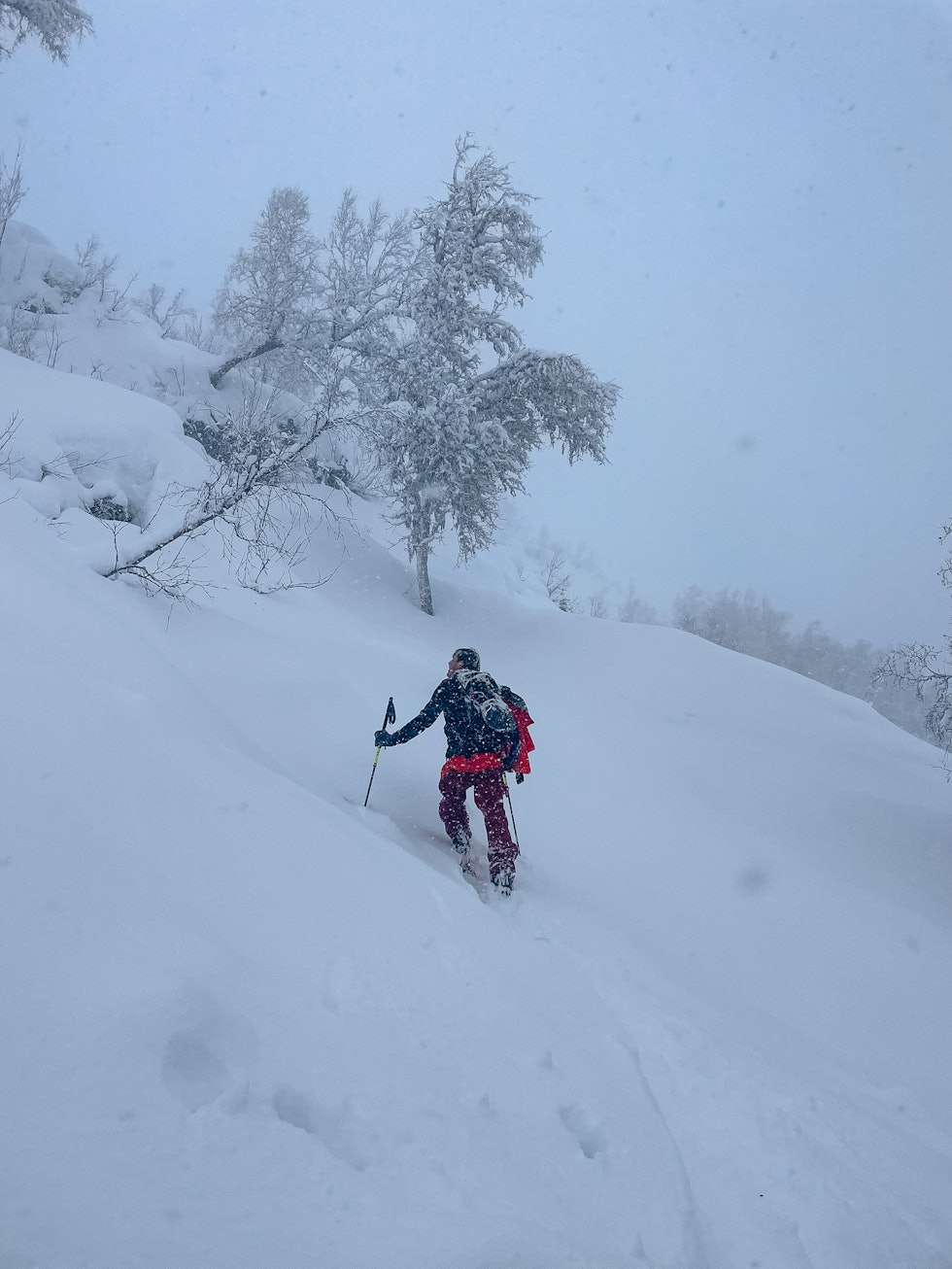 TRAFF GODT: Regn gikk over til snø for Nikolai Schirmer & co i Sogndal.