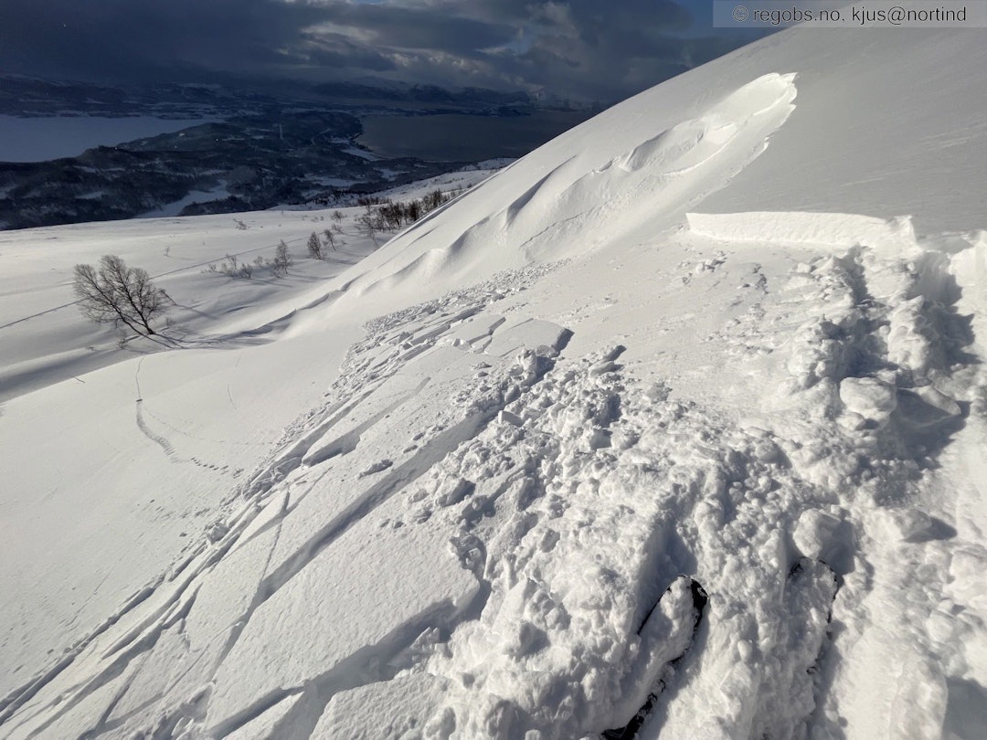 SKRED I NORD: Fra en av observasjonene i Nordland fredag. Foto: Varsom.no SKRED I NORD: Fra en av observasjonene i Nordland fredag. Foto: Varsom.no