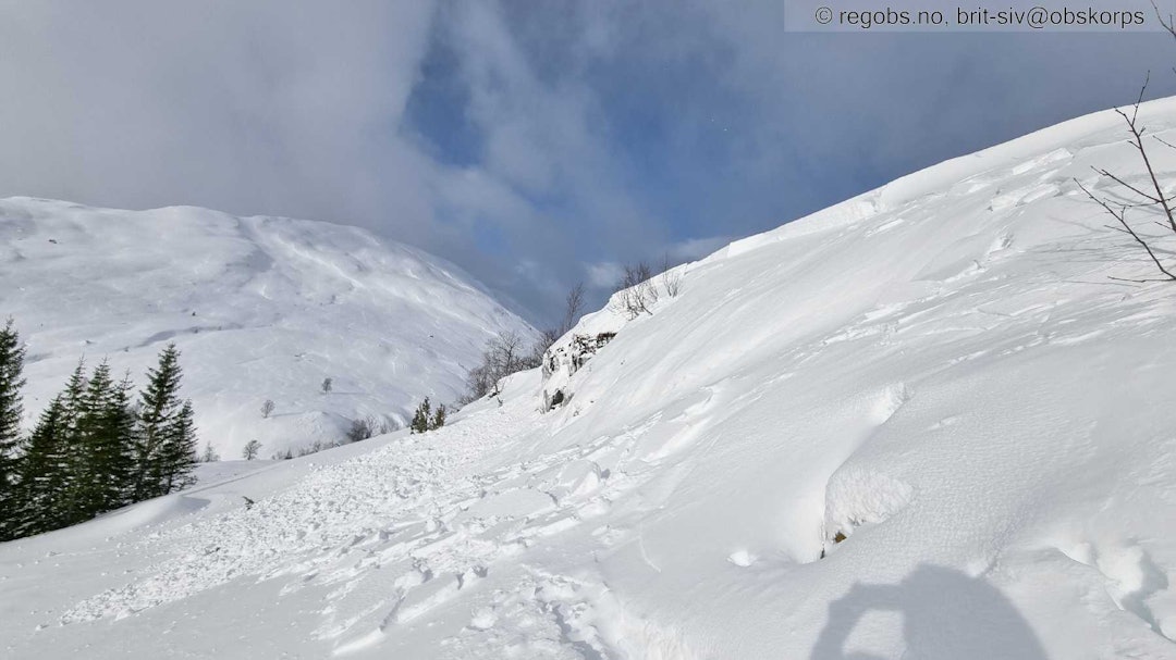 SKRED I VEST: Fra en av observasjonene på Vestlandet denne uken. Foto: Varsom.no SKRED I VEST: Fra en av observasjonene på Vestlandet denne uken. Foto: Varsom.no