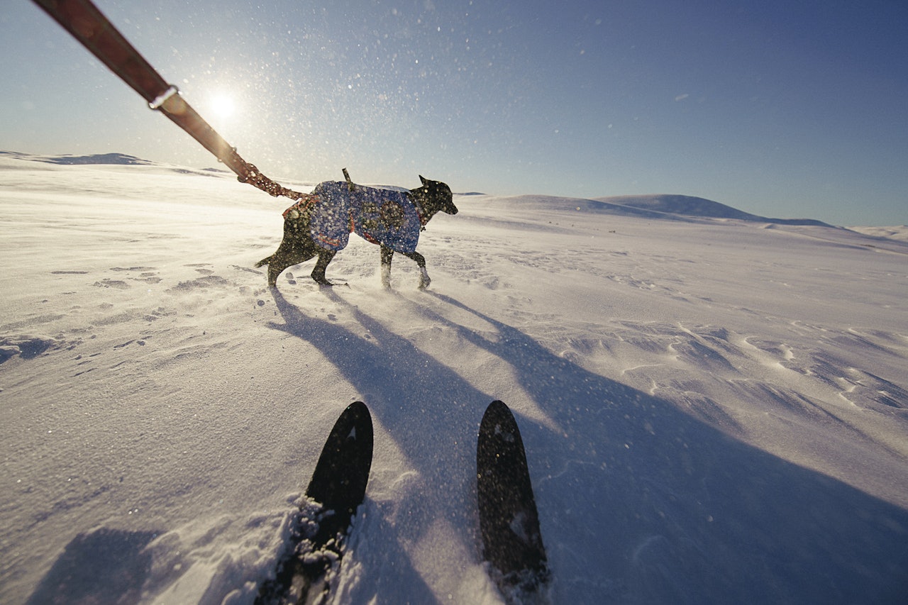 vinterkledd: En vest som dekker de vitale organene kan med fordel brukes vinterstid. Pass bare på at det ikke iser inni vesten eller fester seg snøklumper du ikke ser. Foto: Therese N. Andersen