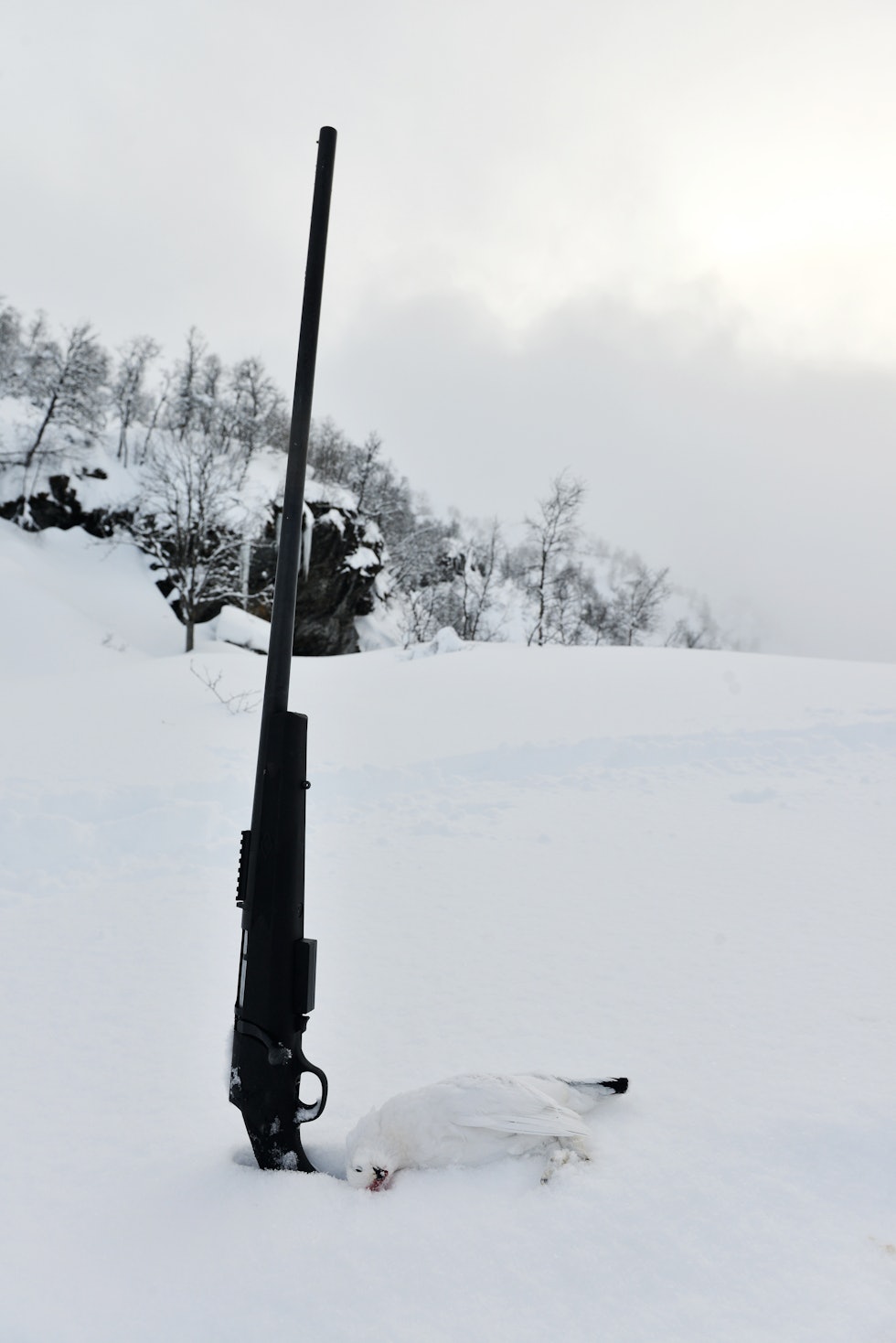 FAVORITTVÅPEN: Denne Marlin Goose Gun har blitt min favoritt til vinterjakt på rype. En bolthagle med ekstra langt løp. I praksis fungerer den som en mellomting mellom rifle og hagle på jakt. FAVORITTVÅPEN: Denne Marlin Goose Gun har blitt min favoritt til vinterjakt på rype. En bolthagle med ekstra langt løp. I praksis fungerer den som en mellomting mellom rifle og hagle på jakt.