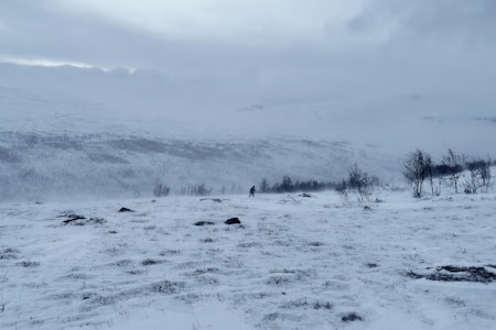 Snøfokk: Med en dæsj stahet og lidenskap gir vi jakta en sjanse.