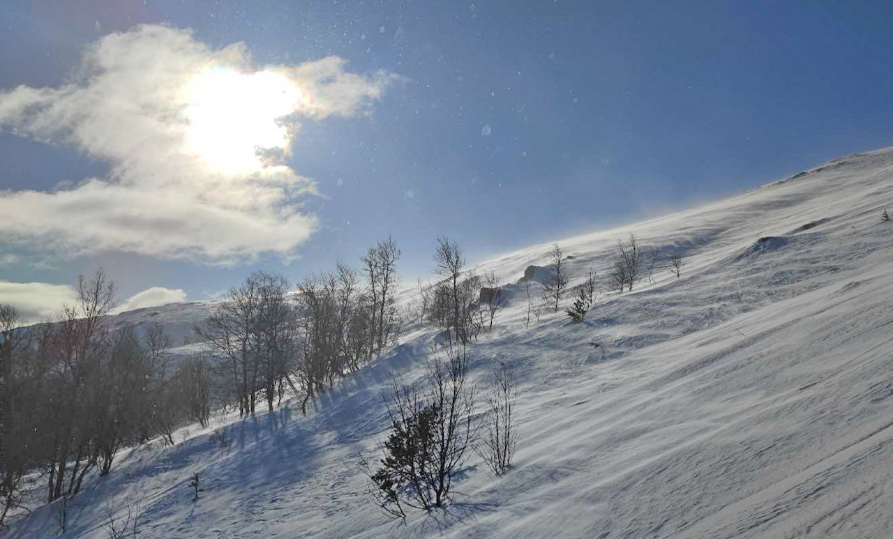 VIND: Ved Lemonsjøen har det blåst mye. Bildet er tatt 1. mars, da det ble satt faregrad 2 i området. Foto: Regobs/Ørjan VIND: Ved Lemonsjøen har det blåst mye. Bildet er tatt 1. mars, da det ble satt faregrad 2 i området. Foto: Regobs/Ørjan