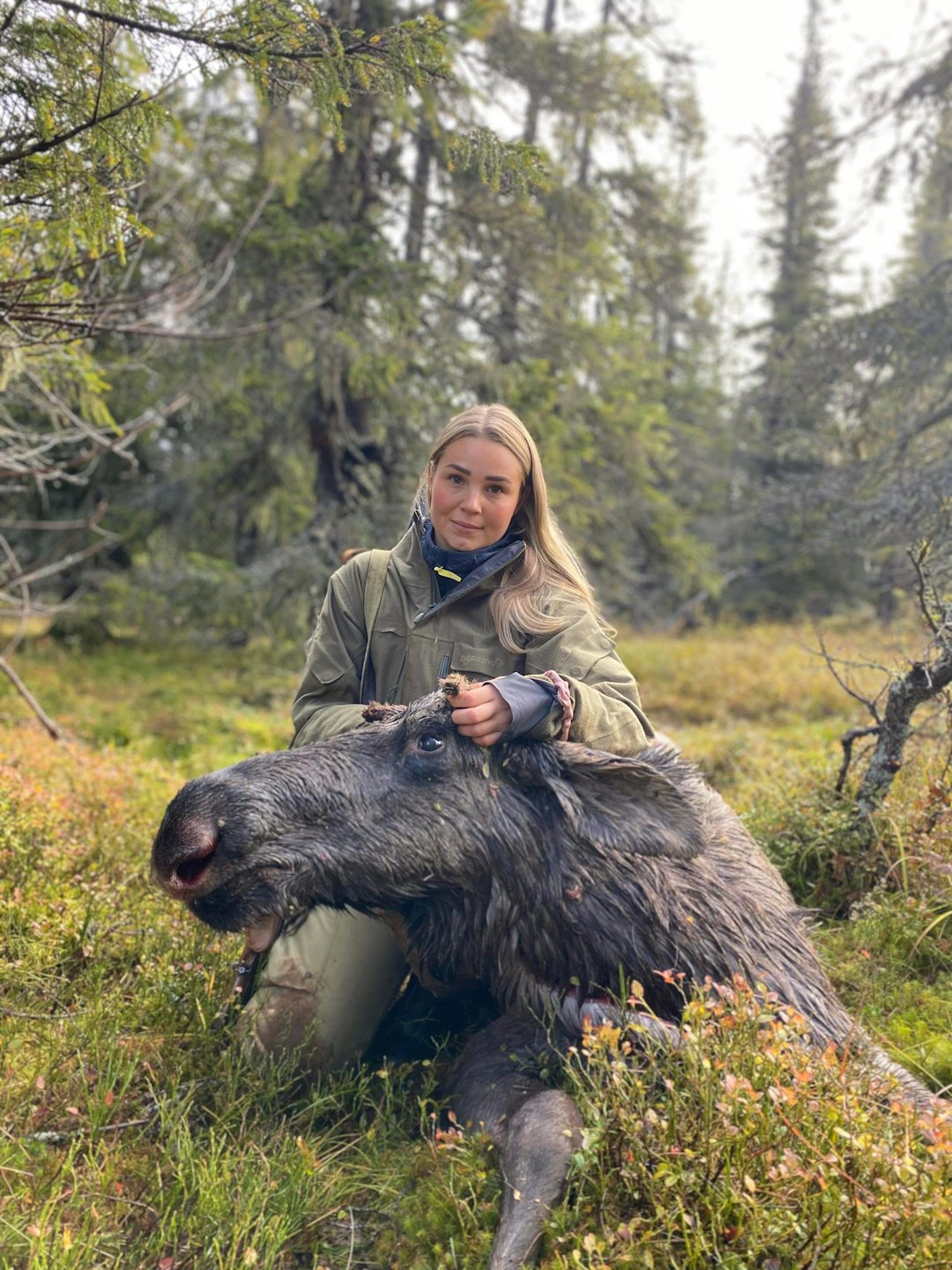 Gina Ørslien Bårdseng jakt jeger elgjakt