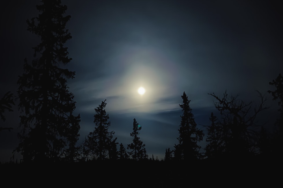 Måneskinn i Hedalen