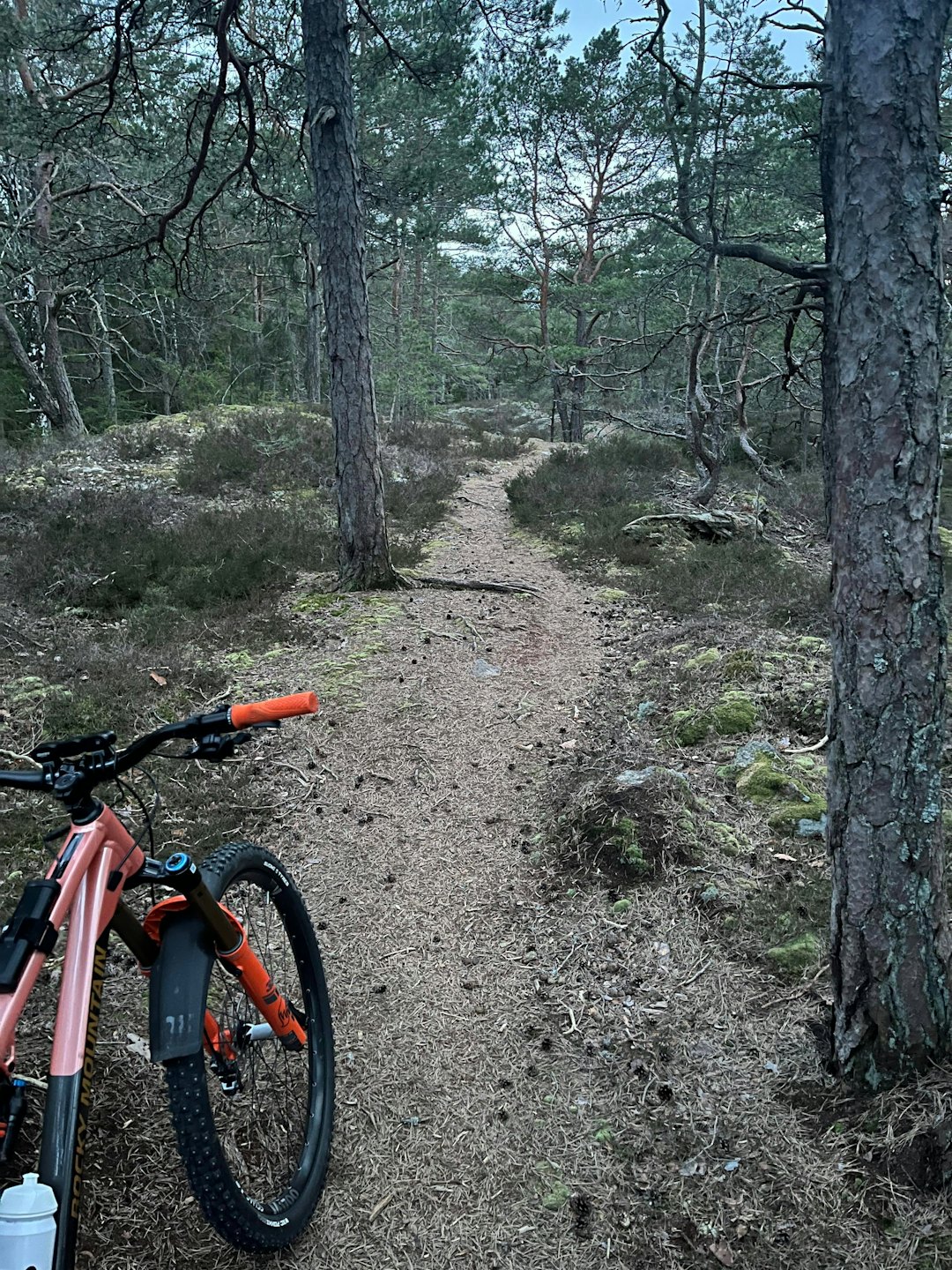 SNART SOMMER? Du bør følge ekstra godt med hvis du tar turen til Saltnes/Fredrikstad - det er fortsatt is å finne. Men ellers? Ikke så verst. Foto: Lars Frederic Nordbakken. saltnes stisykling