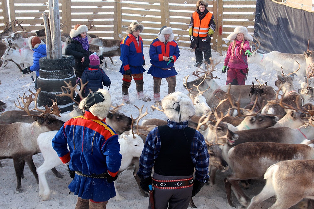 NORDPÅ: På turen til Nordkalotten ble hun kjent med en familie i Karasjok som tilbød gratis kost og losji. Det slo hun til på. Nå har hun og kjæresten Per-Anders kjøpt hus på vidda. Foto: Privat. IMG_4762